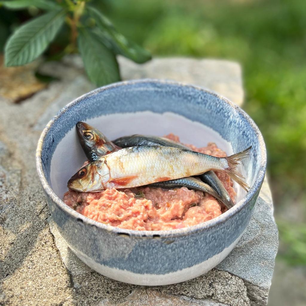 Nutrizione e benessere degli animali